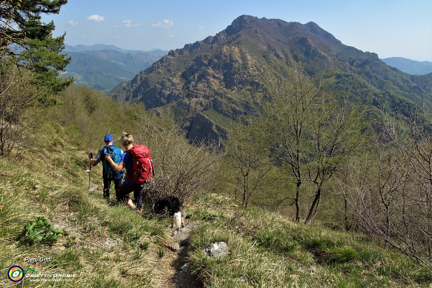 113 Ricompare il bosco anche se rado.JPG